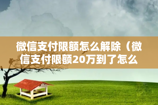 微信支付限额怎么解除（微信支付限额20万到了怎么办）