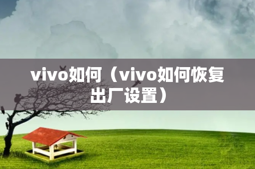 vivo如何（vivo如何恢复出厂设置）