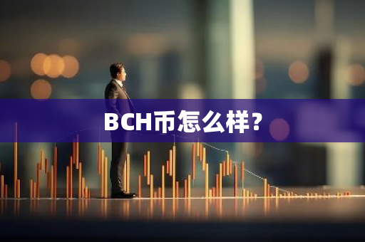 BCH币怎么样？