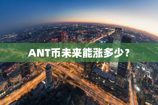 ANT币未来能涨多少？