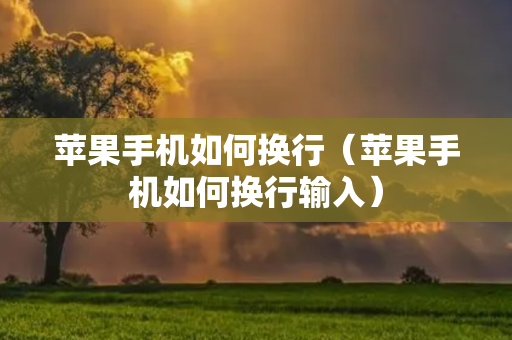 苹果手机如何换行（苹果手机如何换行输入）