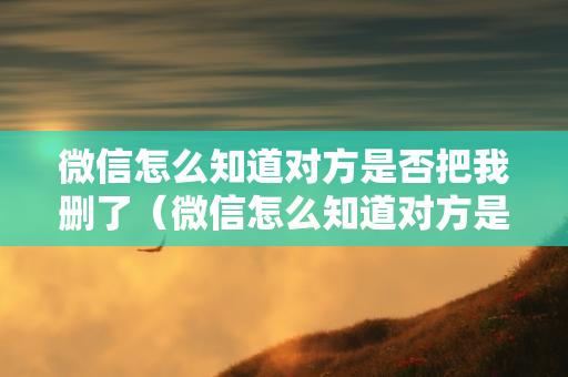 微信怎么知道对方是否把我删了（微信怎么知道对方是否把我删了朋友圈）