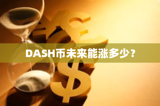 DASH币未来能涨多少？