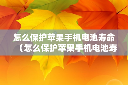 怎么保护苹果手机电池寿命（怎么保护苹果手机电池寿命苹果14）