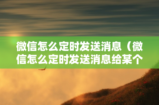 微信怎么定时发送消息（微信怎么定时发送消息给某个好友）