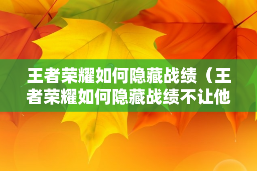 王者荣耀如何隐藏战绩（王者荣耀如何隐藏战绩不让他人观看）