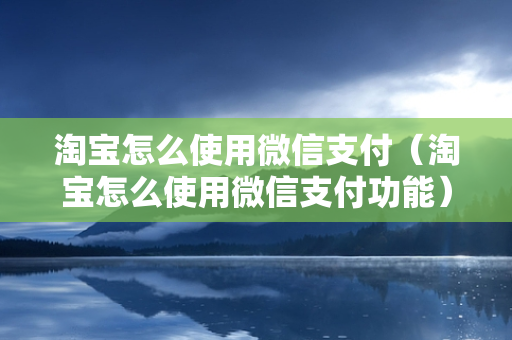 淘宝怎么使用微信支付（淘宝怎么使用微信支付功能）