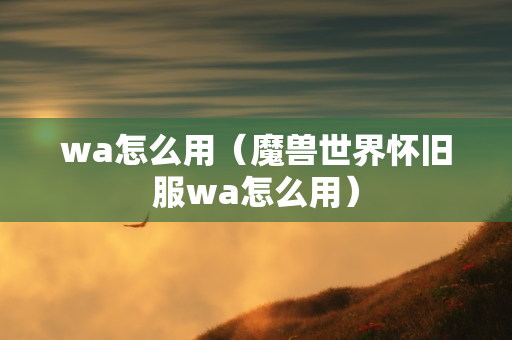 wa怎么用（魔兽世界怀旧服wa怎么用）