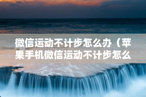 微信运动不计步怎么办（苹果手机微信运动不计步怎么办）