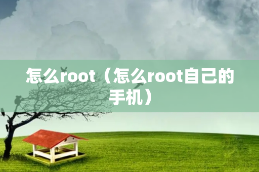 怎么root（怎么root自己的手机）