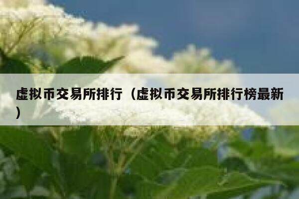 虚拟币交易所排行（虚拟币交易所排行榜最新）