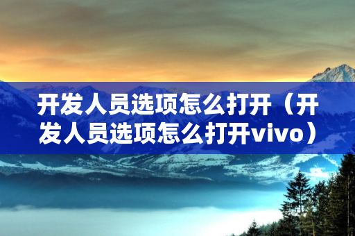 开发人员选项怎么打开（开发人员选项怎么打开vivo）