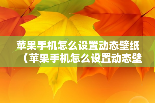 苹果手机怎么设置动态壁纸（苹果手机怎么设置动态壁纸视频教程）