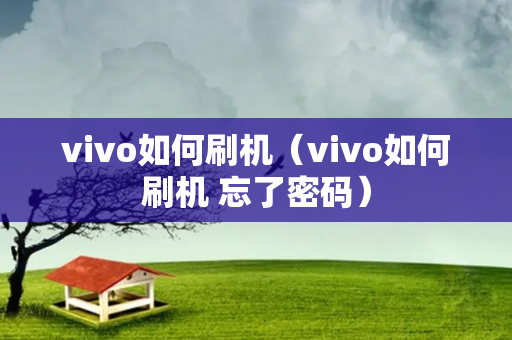 vivo如何刷机（vivo如何刷机 忘了密码）