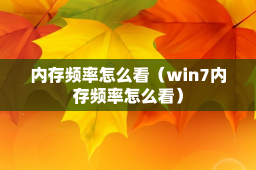 内存频率怎么看（win7内存频率怎么看）