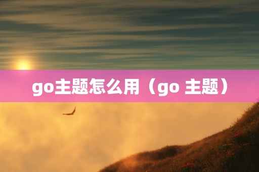 go主题怎么用（go 主题）