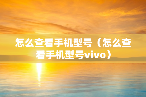 怎么查看手机型号（怎么查看手机型号vivo）