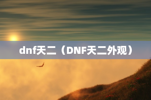 dnf天二（DNF天二外观）