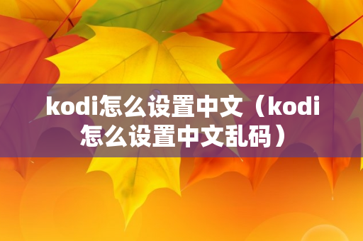 kodi怎么设置中文（kodi怎么设置中文乱码）