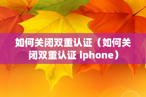 如何关闭双重认证（如何关闭双重认证 iphone）