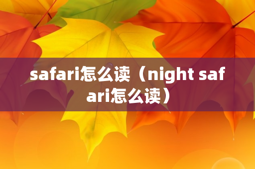 safari怎么读（night safari怎么读）