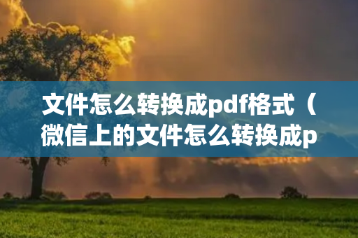 文件怎么转换成pdf格式（微信上的文件怎么转换成pdf格式）