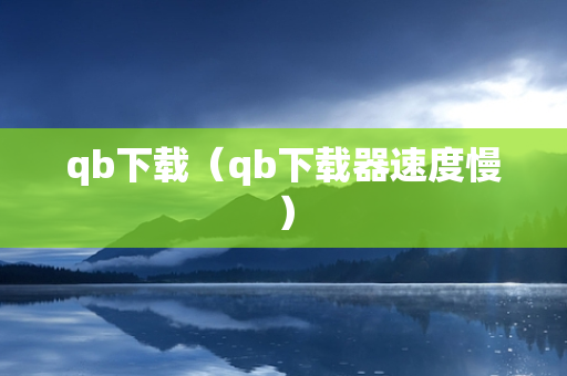 qb下载（qb下载器速度慢）