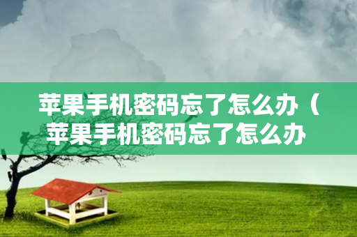 苹果手机密码忘了怎么办（苹果手机密码忘了怎么办 解开）