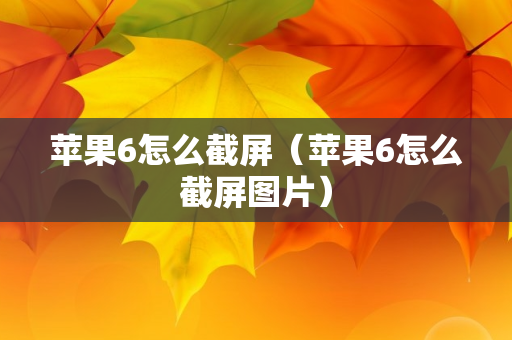 苹果6怎么截屏（苹果6怎么截屏图片）