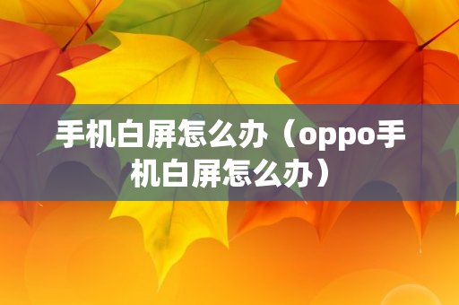 手机白屏怎么办（oppo手机白屏怎么办）