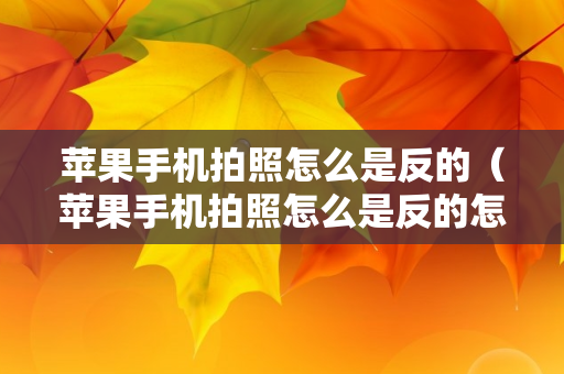 苹果手机拍照怎么是反的（苹果手机拍照怎么是反的怎么调回来）