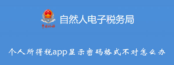 个人所得税app显示密码格式不对怎么办