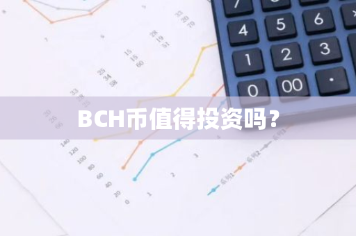 BCH币值得投资吗？