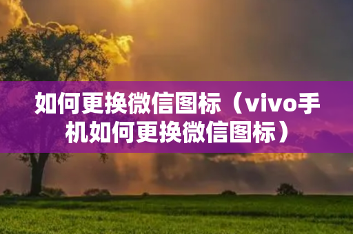 如何更换微信图标（vivo手机如何更换微信图标）