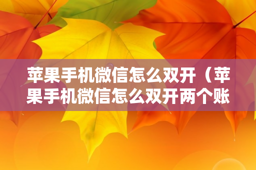 苹果手机微信怎么双开（苹果手机微信怎么双开两个账号）