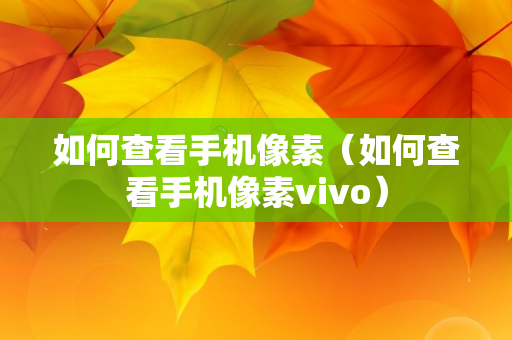 如何查看手机像素（如何查看手机像素vivo）