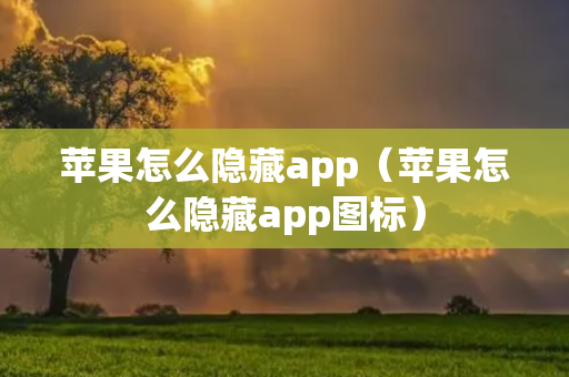 苹果怎么隐藏app（苹果怎么隐藏app图标）