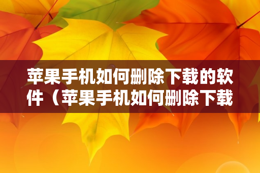 苹果手机如何删除下载的软件（苹果手机如何删除下载的软件安装包）