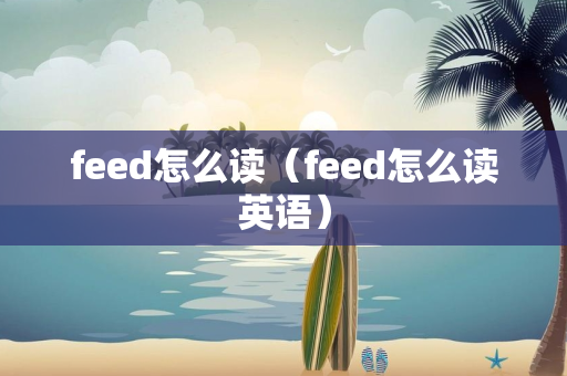 feed怎么读（feed怎么读英语）