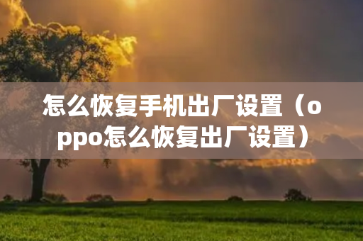 怎么恢复手机出厂设置（oppo怎么恢复出厂设置）