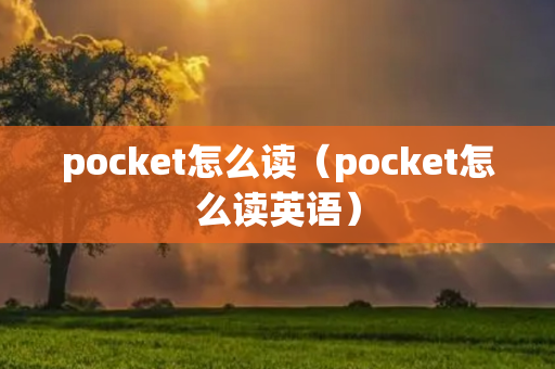 pocket怎么读（pocket怎么读英语）