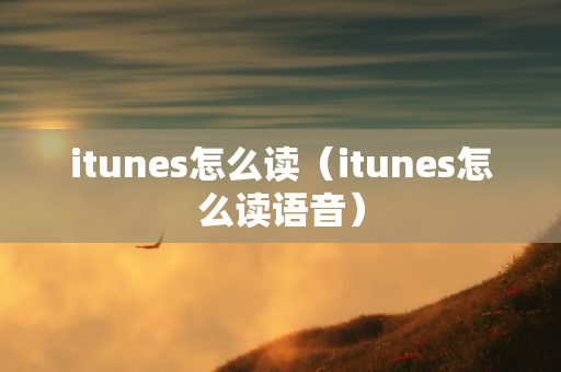 itunes怎么读（itunes怎么读语音）