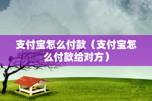 支付宝怎么付款（支付宝怎么付款给对方）