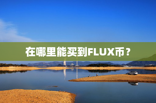 在哪里能买到FLUX币？