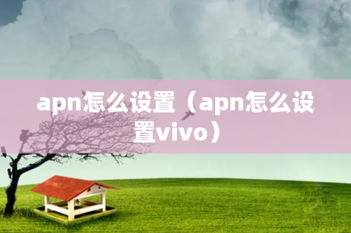 apn怎么设置（apn怎么设置vivo）