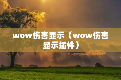 wow伤害显示（wow伤害显示插件）