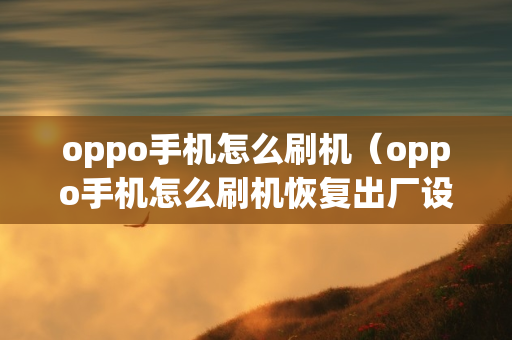 oppo手机怎么刷机（oppo手机怎么刷机恢复出厂设置）