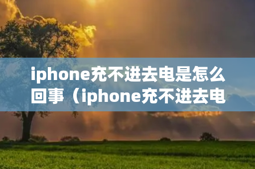 iphone充不进去电是怎么回事（iphone充不进去电是怎么回事儿）