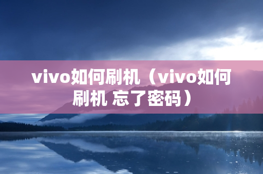 vivo如何刷机（vivo如何刷机 忘了密码）