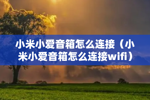 小米小爱音箱怎么连接（小米小爱音箱怎么连接wifi）